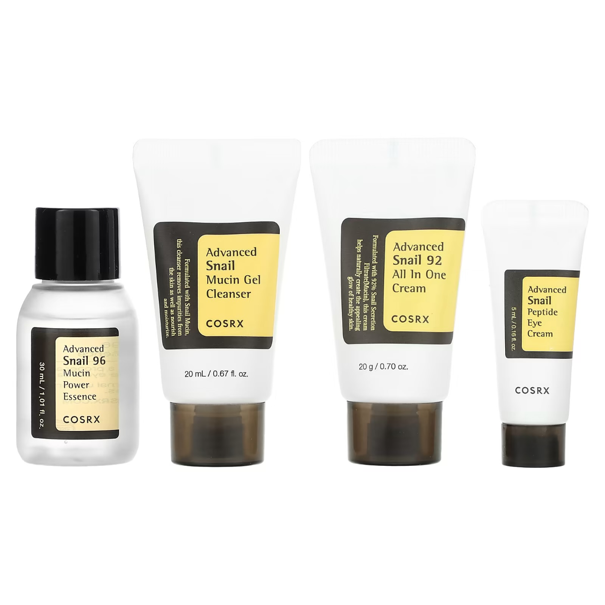 All about snail kit